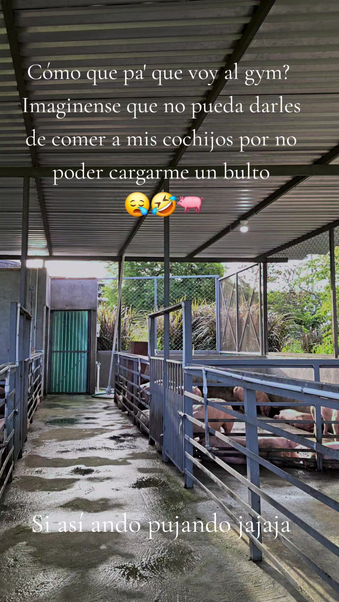 @Monse Murillo