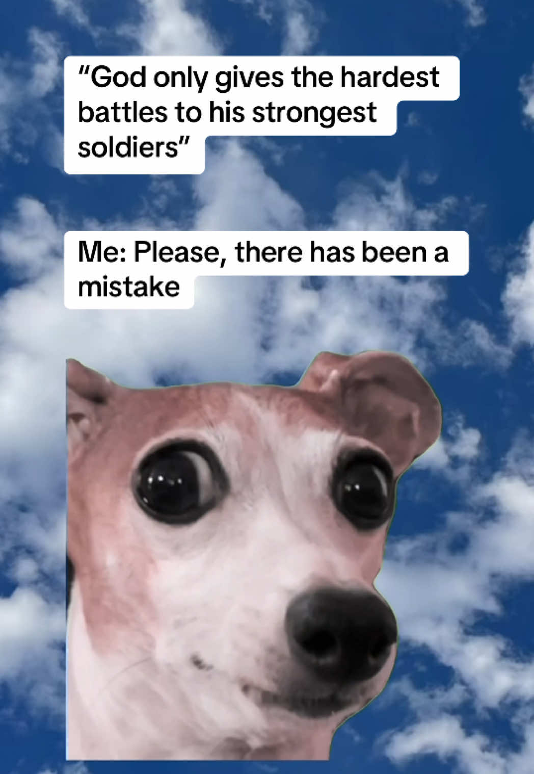 @Seedling