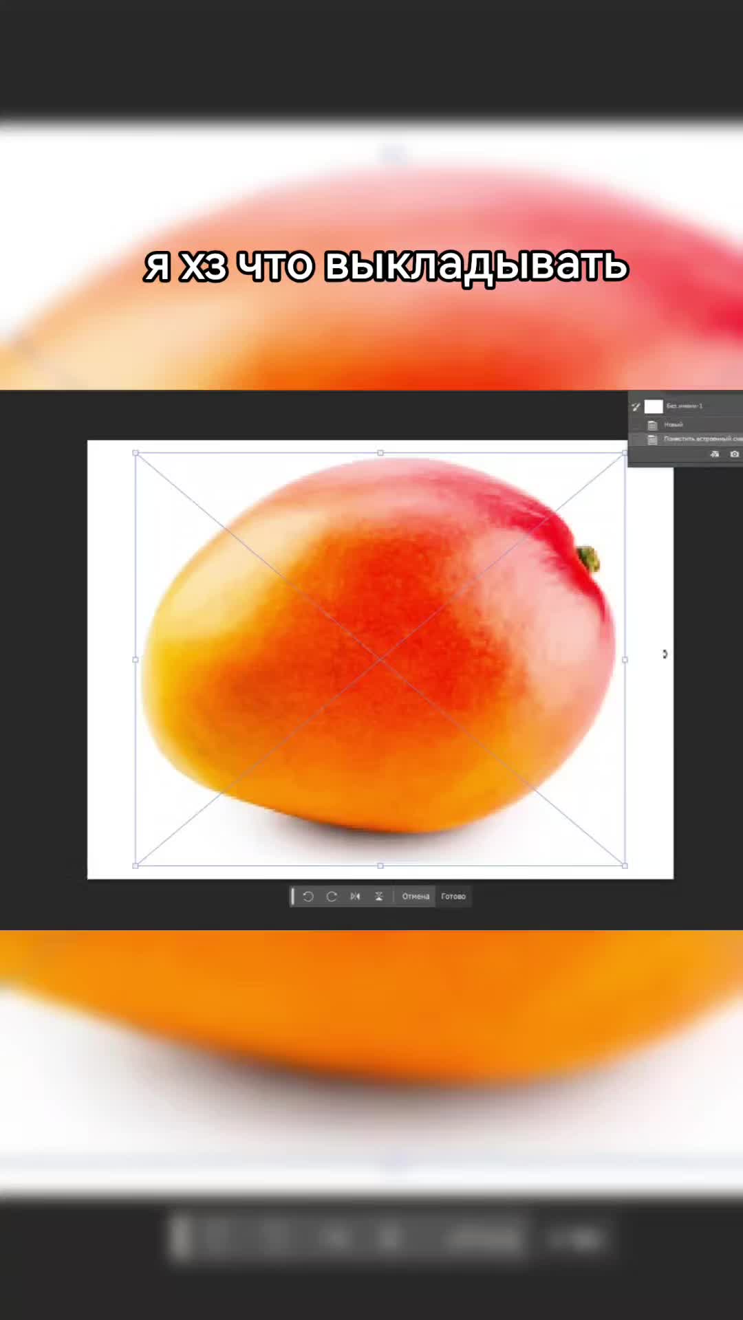 @tg: @objectifclo52