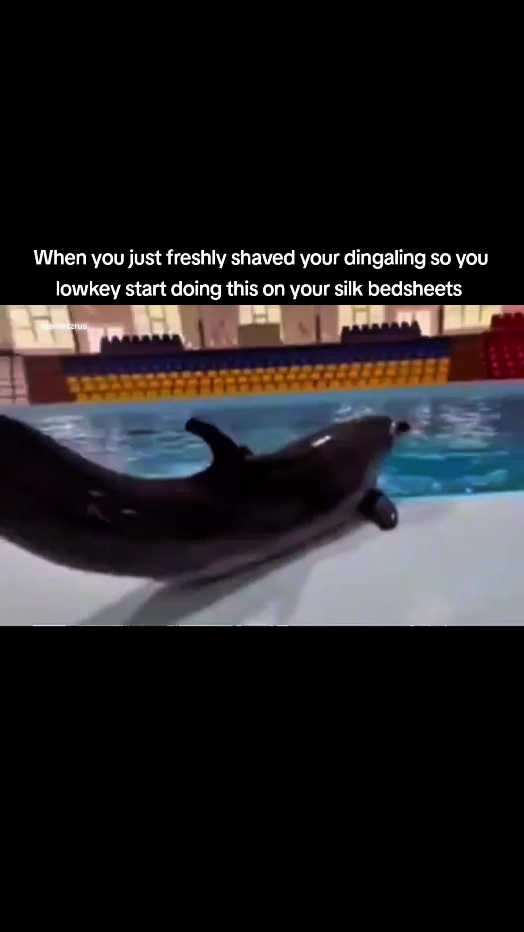 @Memezz.R.Us