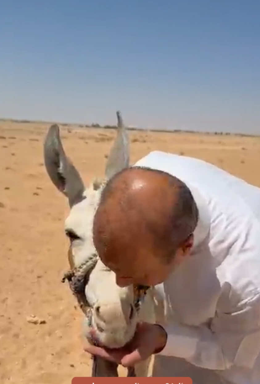 @هادي العلواني