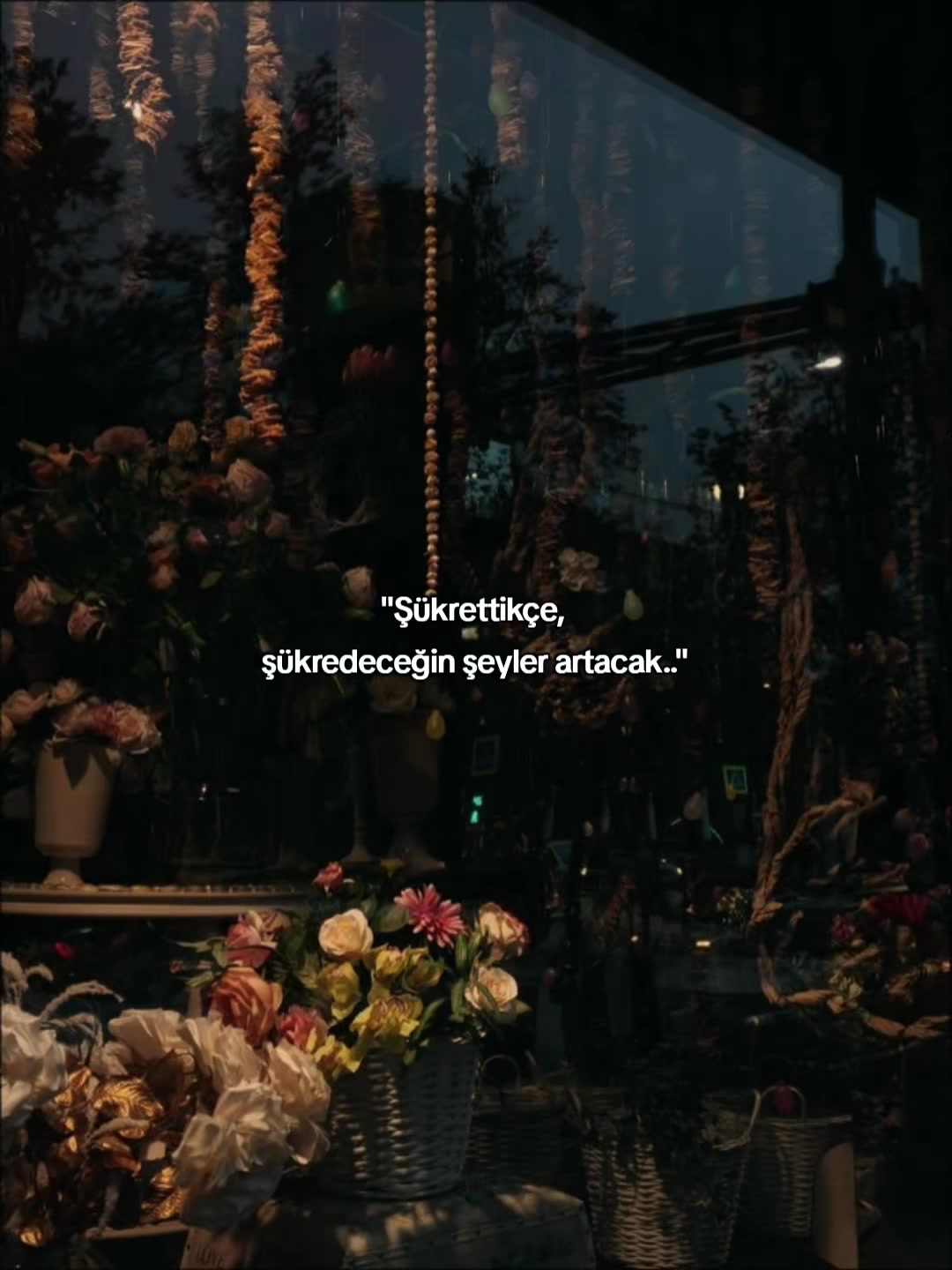 @𝐀𝐬𝐦𝐢𝐧🦋