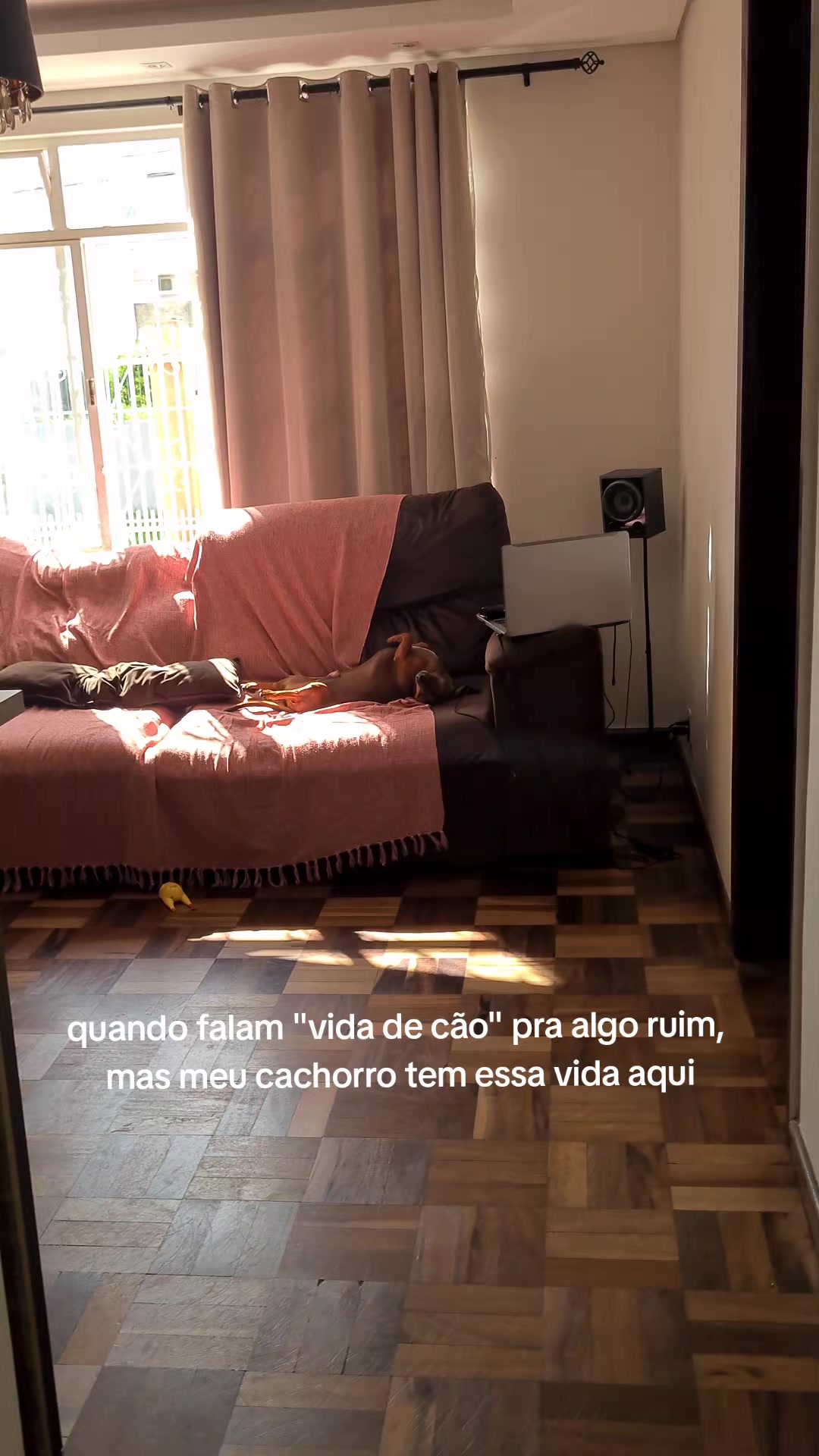 @Yasmin Santana
