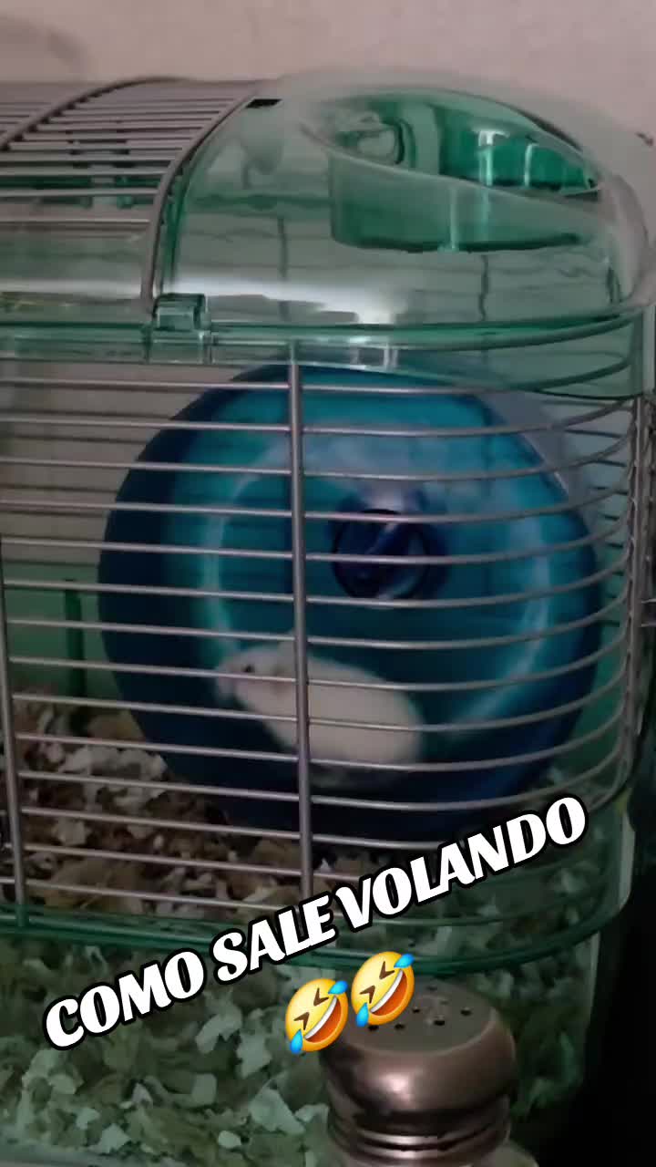 @Zaira Rivera