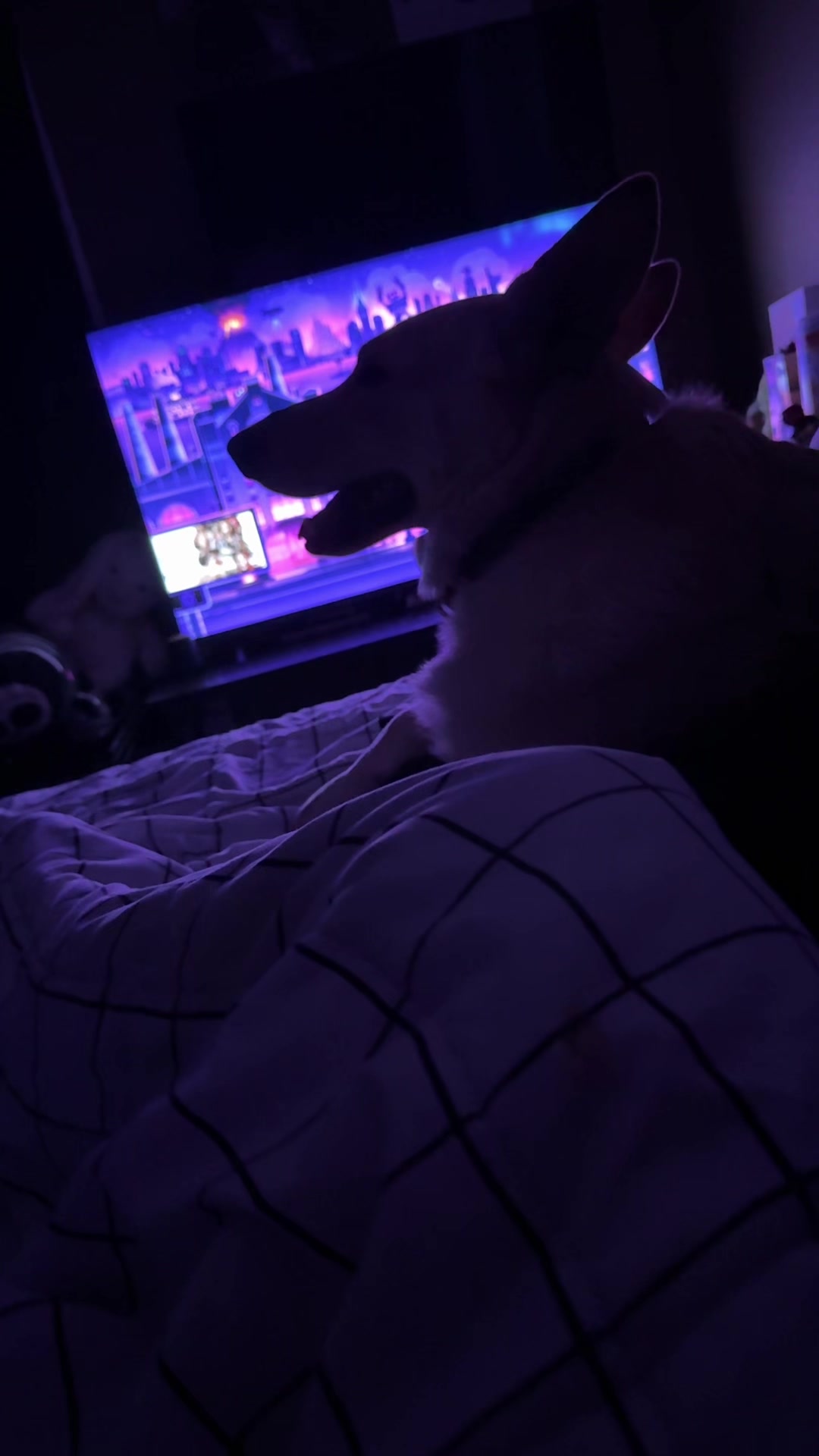 @Jayden ₉⁹₉