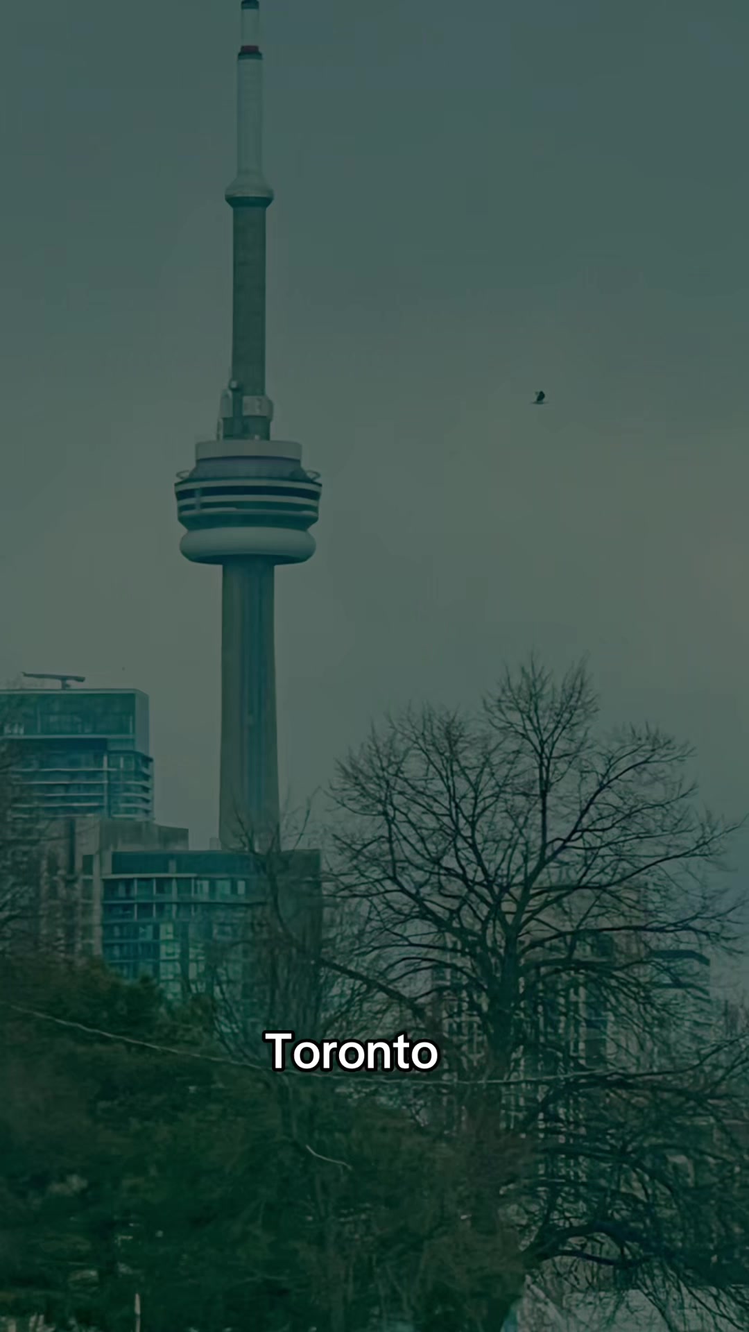 @ਮਲਵੈਣ ❤️😊😊