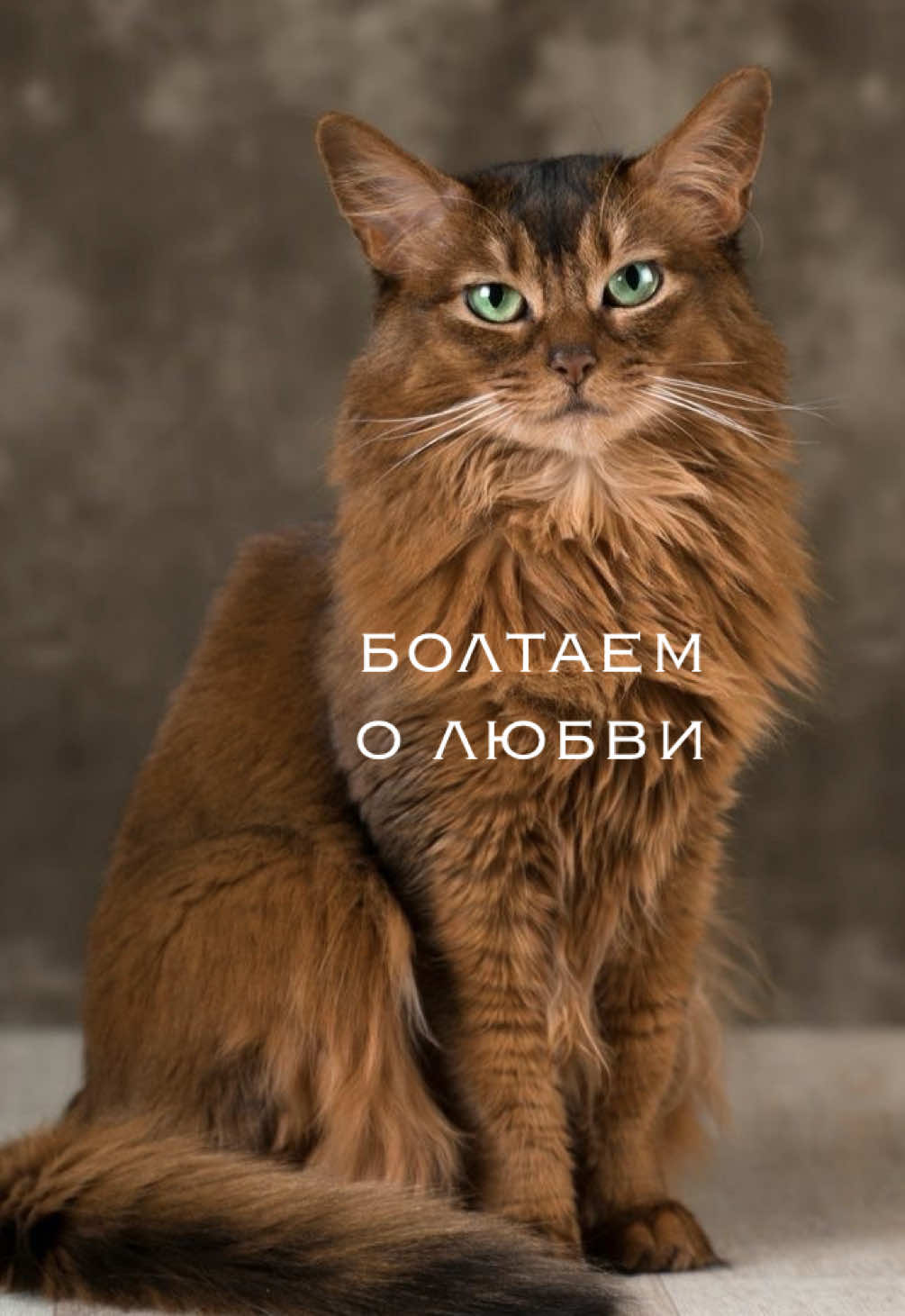 @мамин хep
