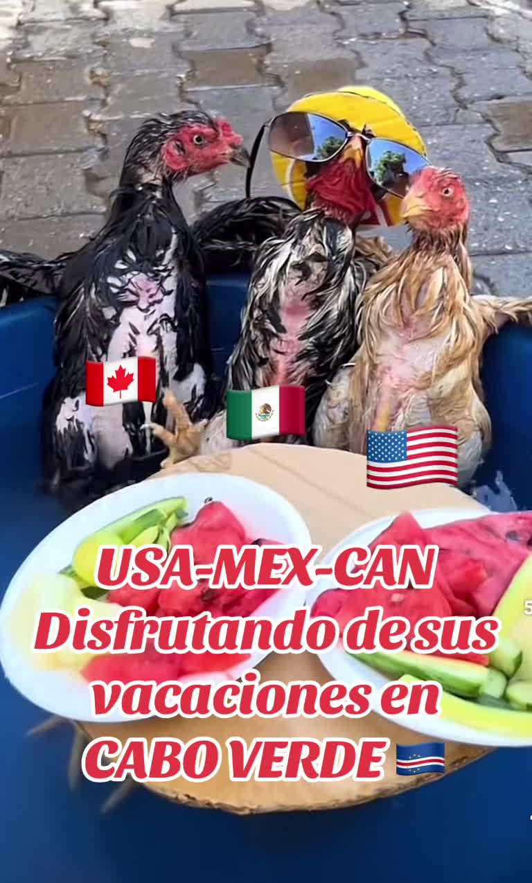 @sabormexicano00