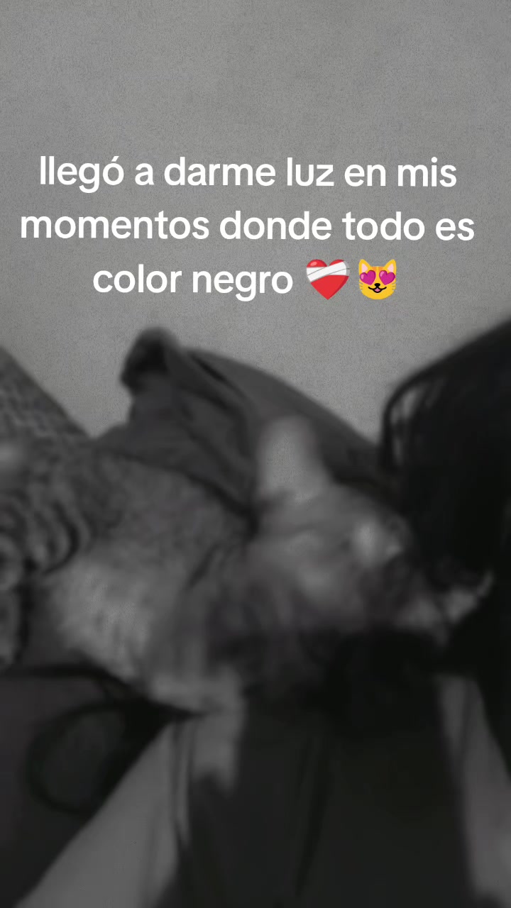 @🙋🏻♀️ VALTIER