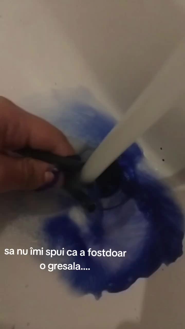 @anais sefa sefa