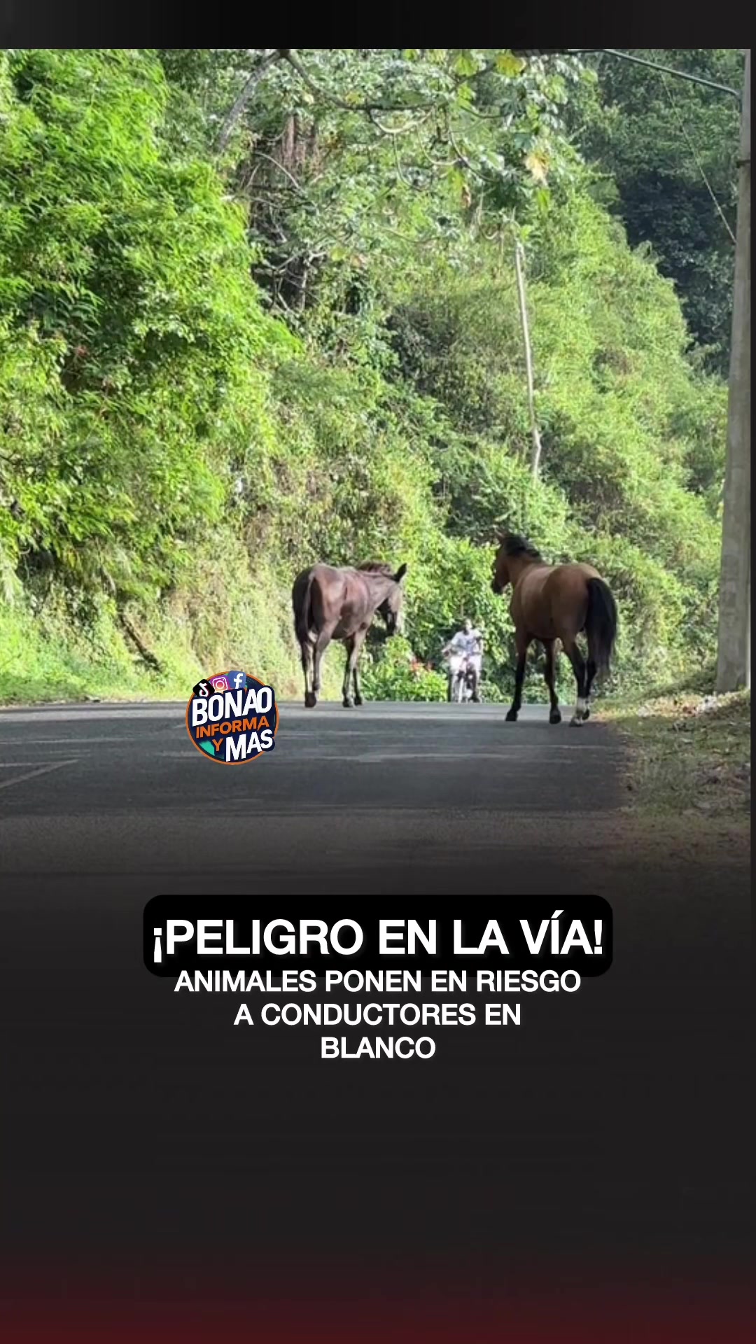 @BonaoinformaYmas