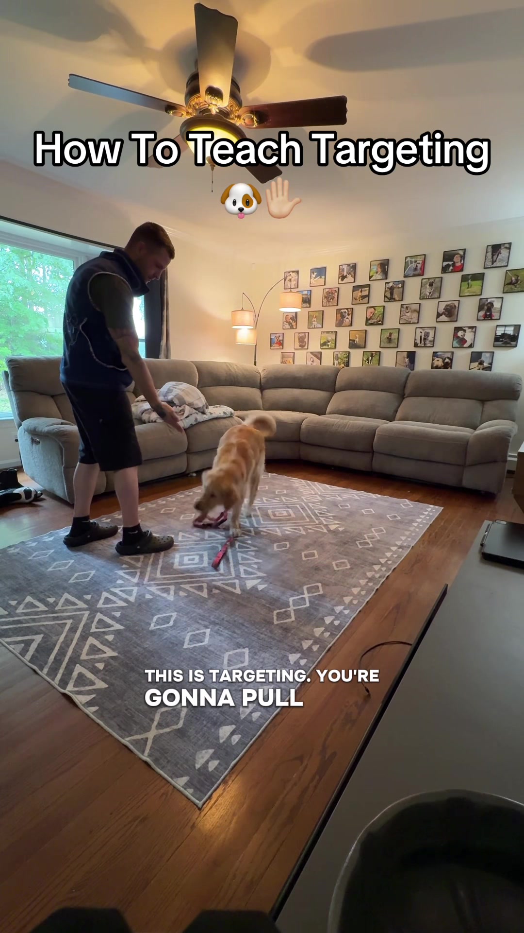 @Best Buddy Dog Trainer LLC