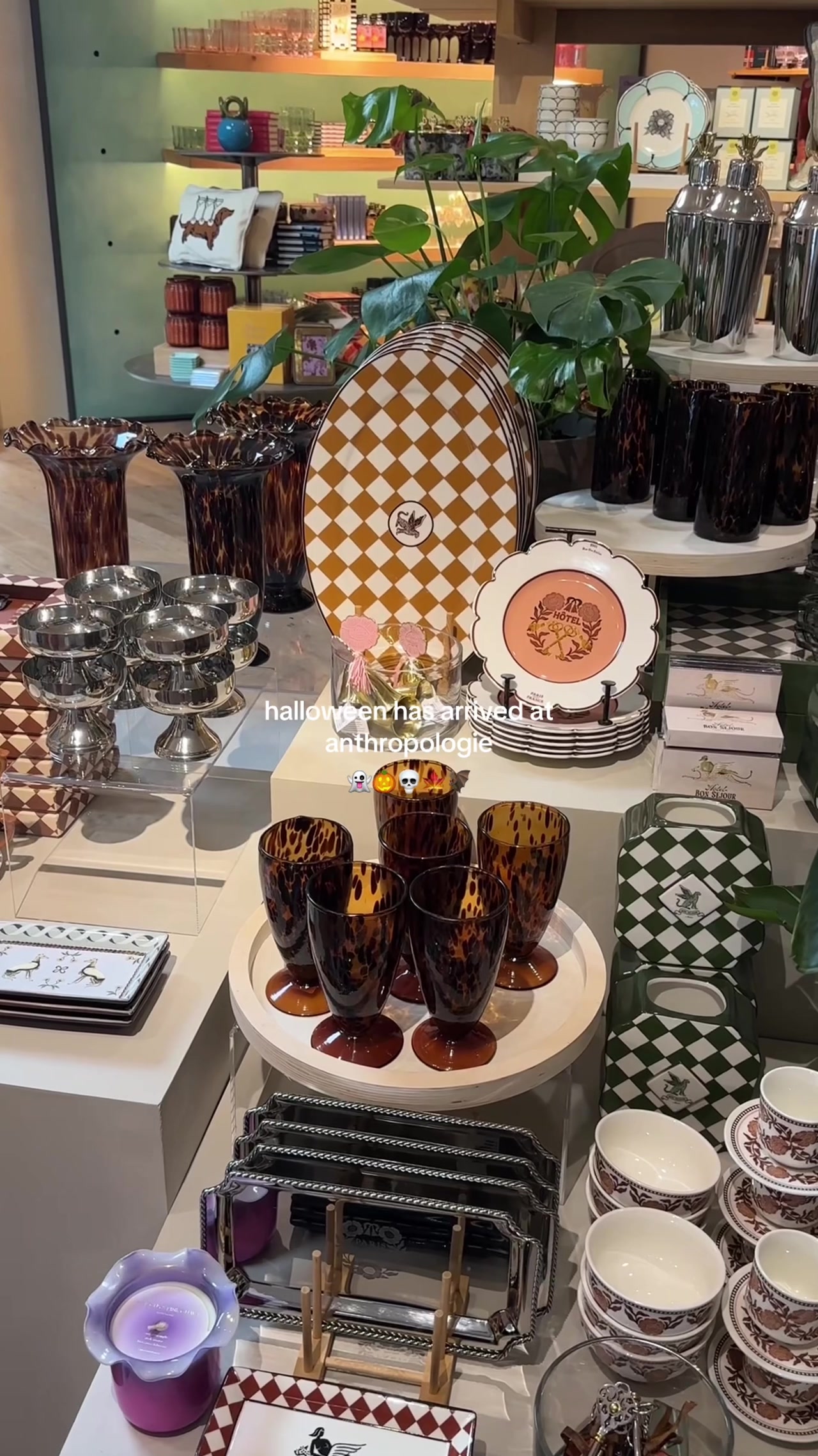 @Anthropologie