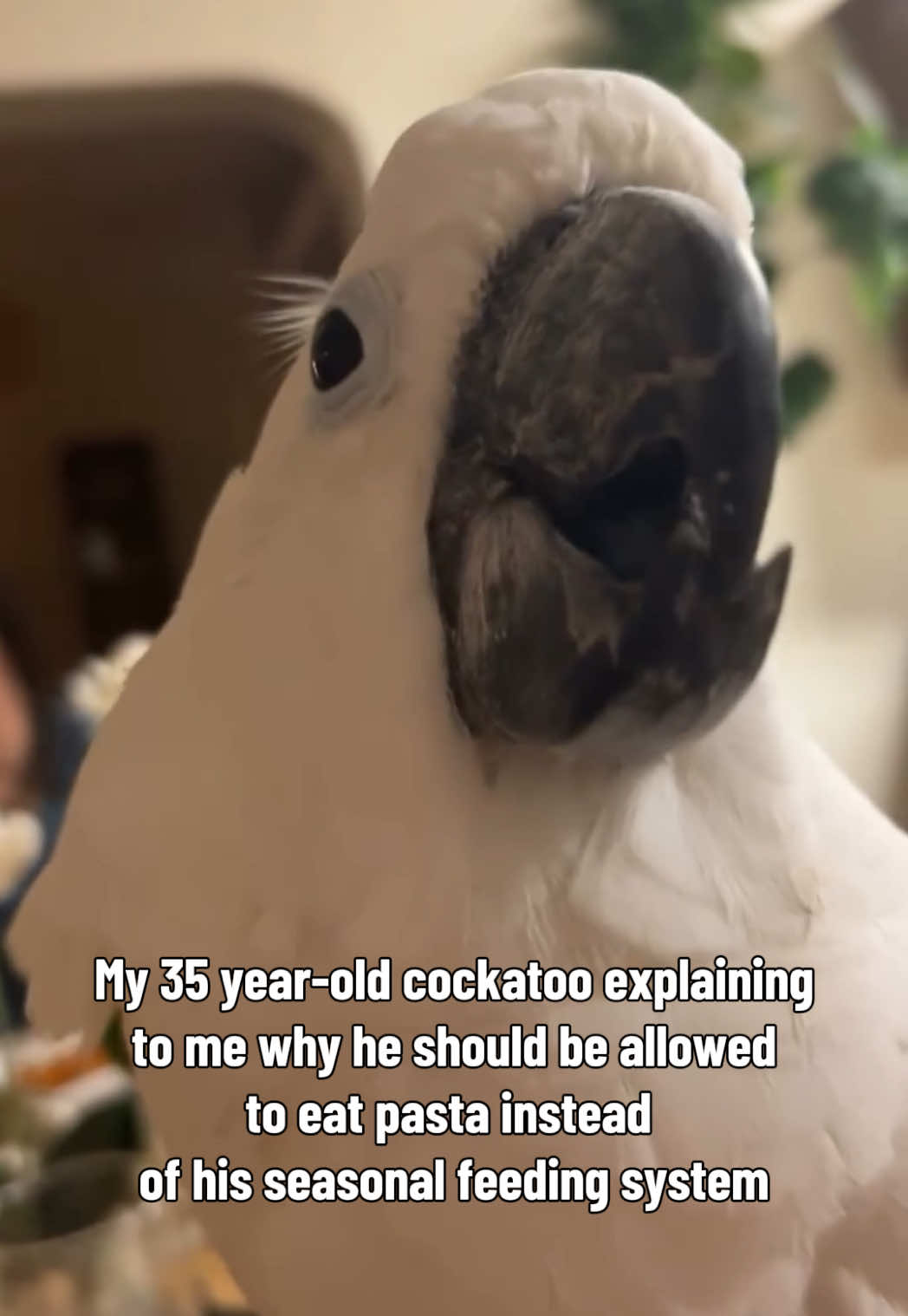 @gabbynikolle