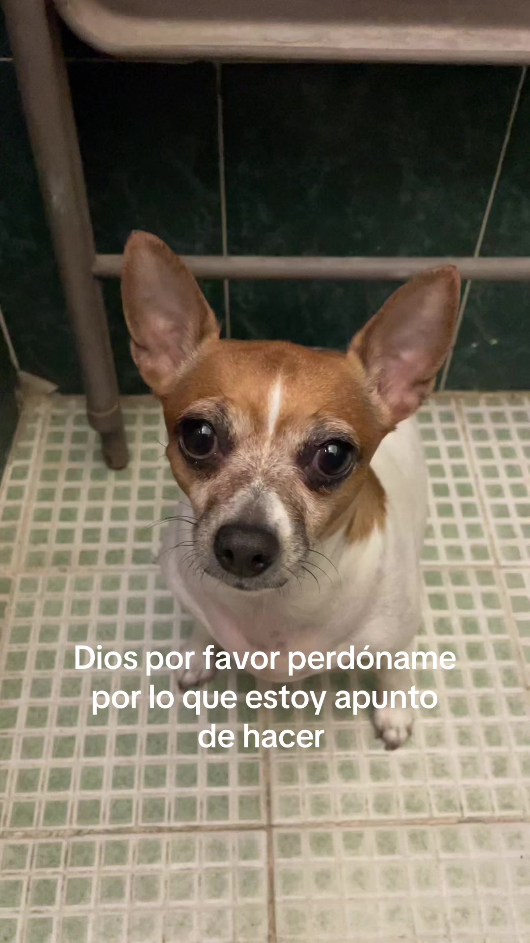 @Leila Torres