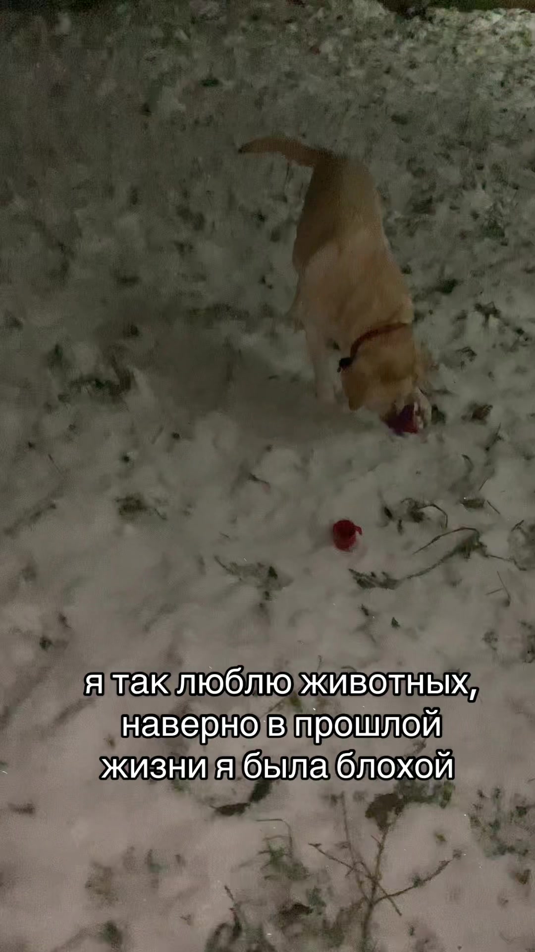 @ксеш