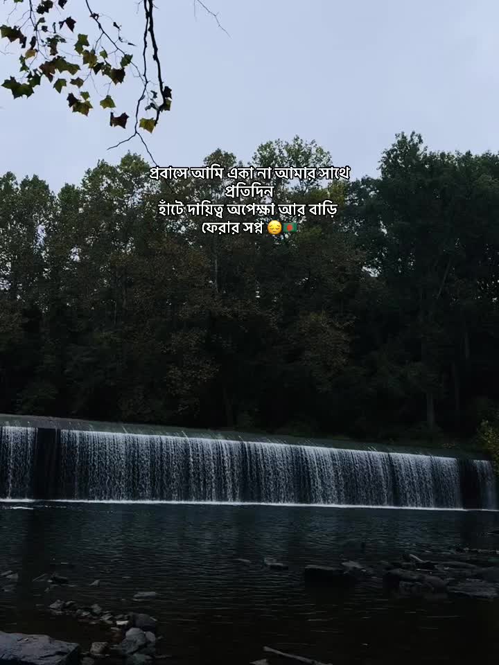 @فهيم 🇧🇩
