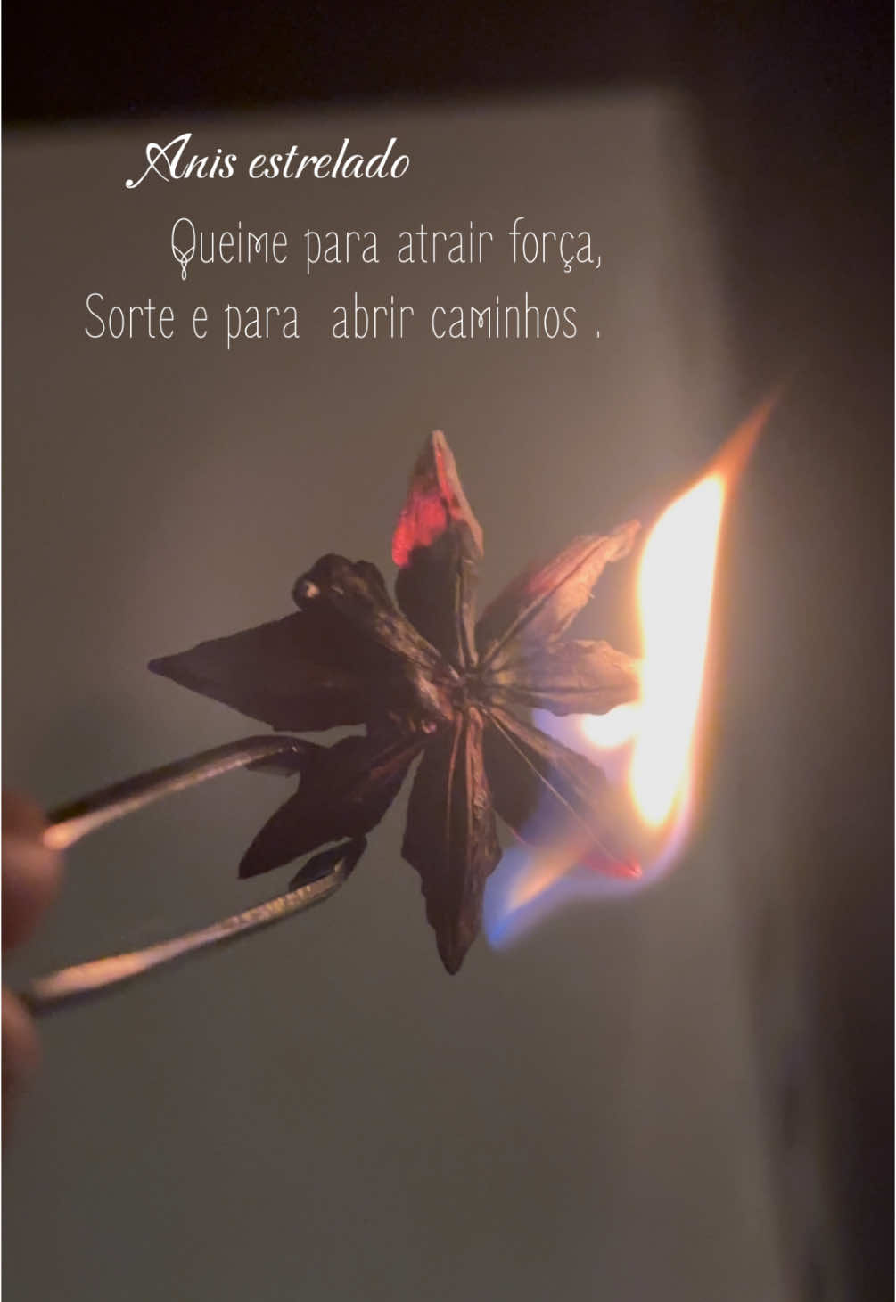 @Millene | Bruxa Mística ๐ฎ๐