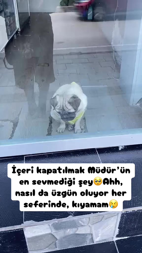 @Şapkalı Kadın