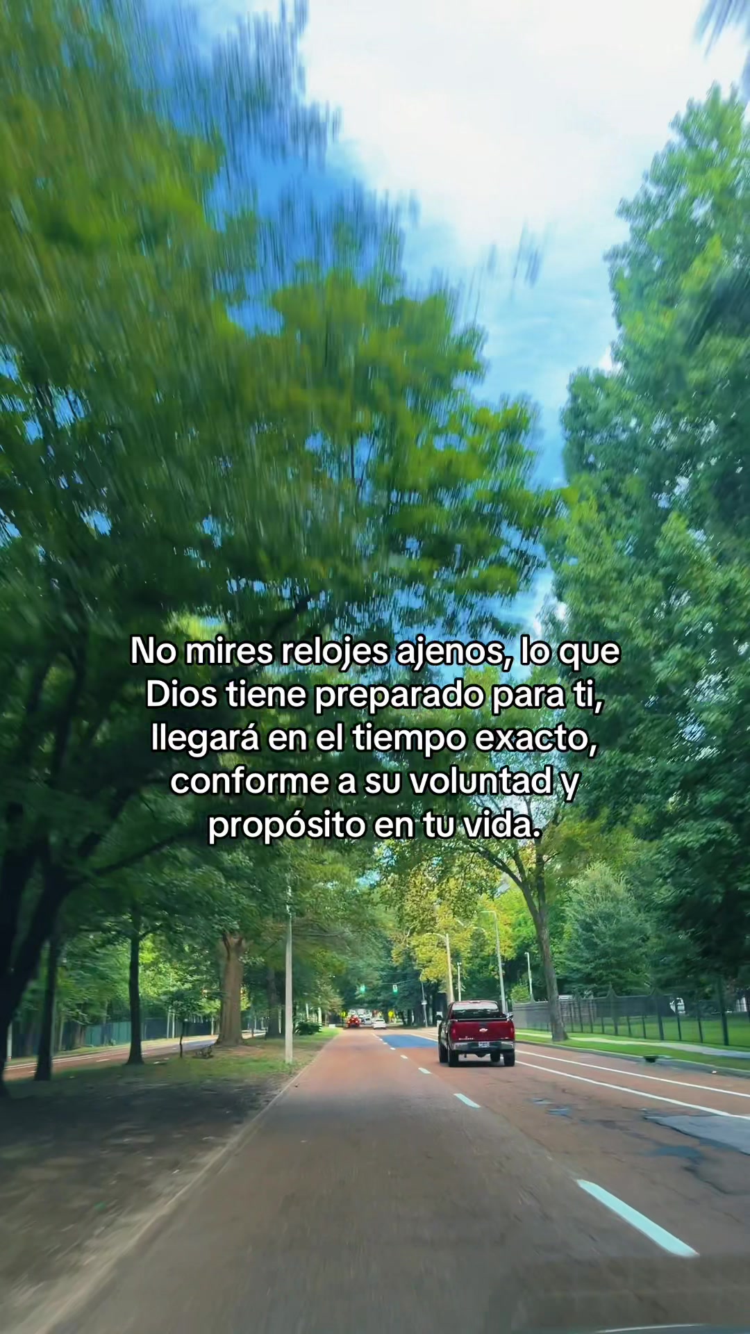 @hadadeletras