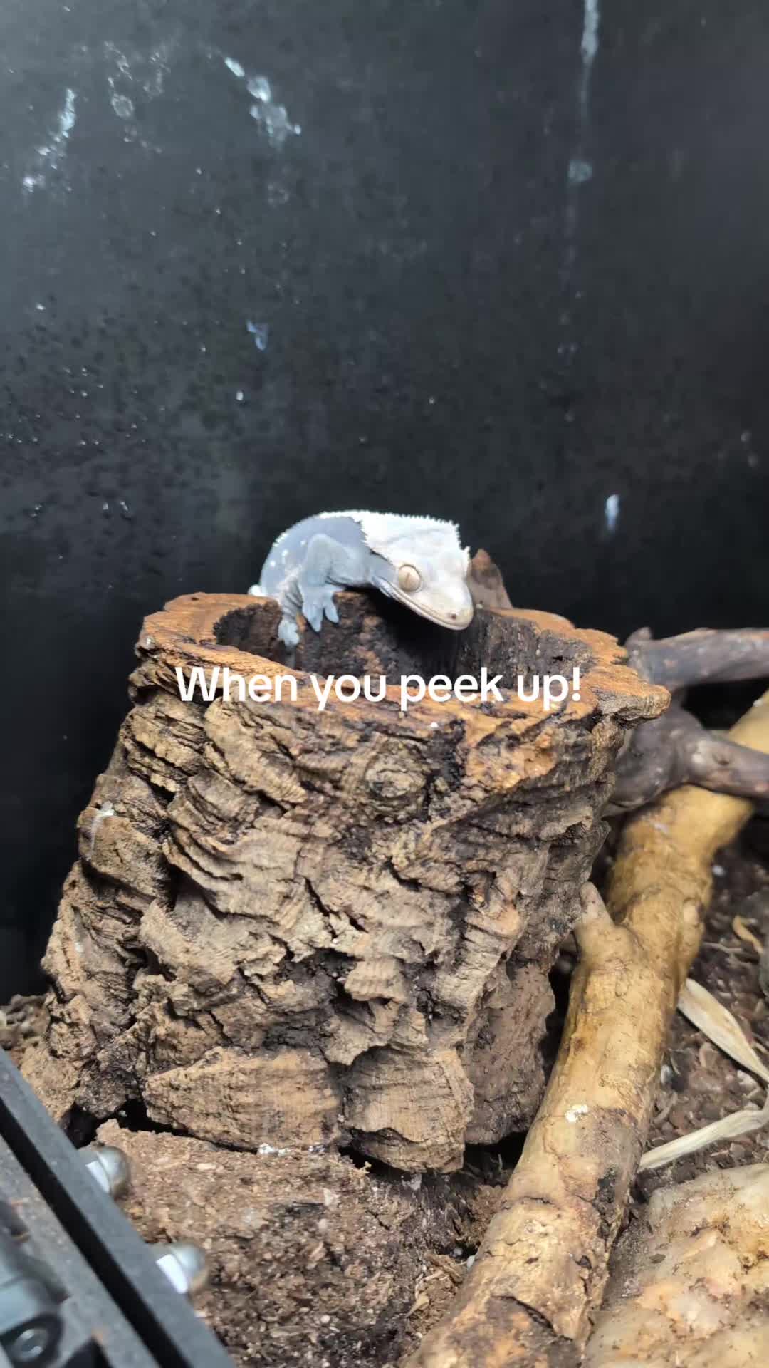 @Odehappy30