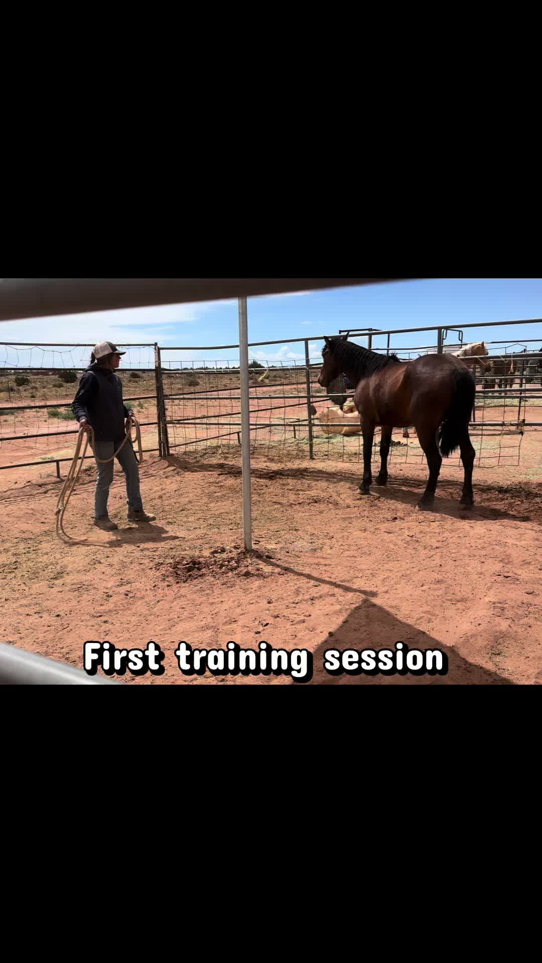 @CanyonStateHorsemanship