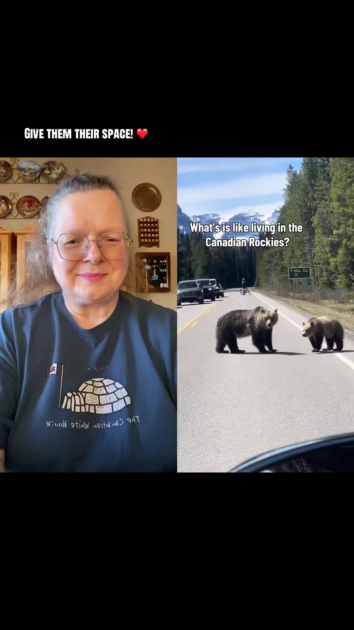 @Cathy from Canada 🇨🇦