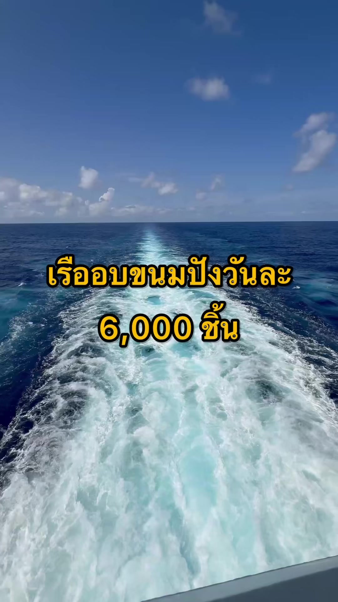 @มิสเตอร์วันชาวเรือ (1.6M)