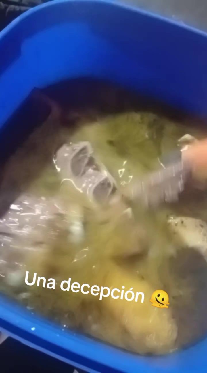 @Lezcano👑