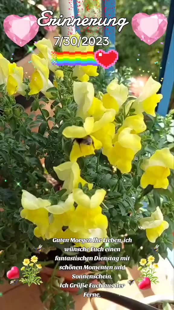 @🦋 Petra 🦋