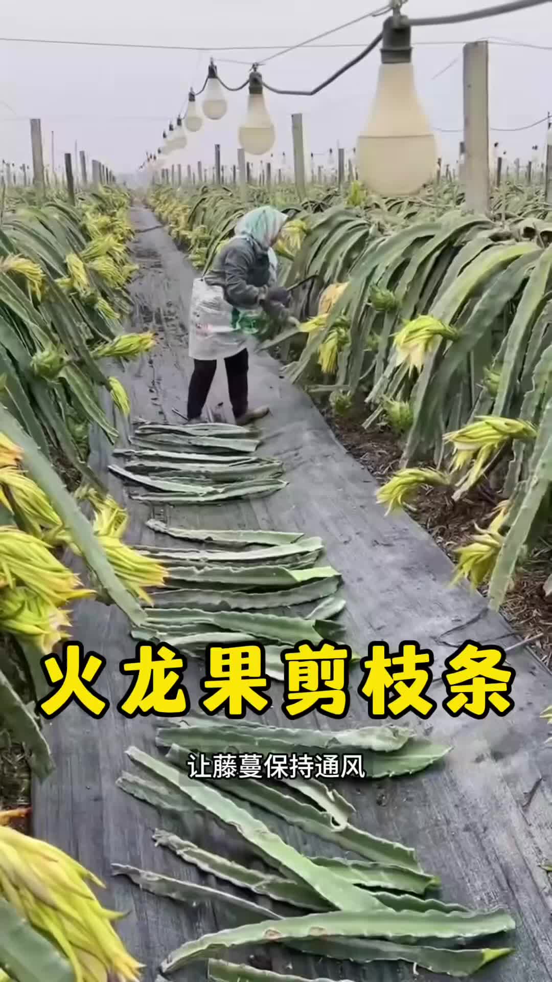 @云端笑视