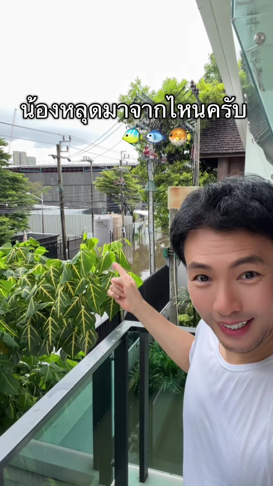 @Dr.2 - หมอสอง