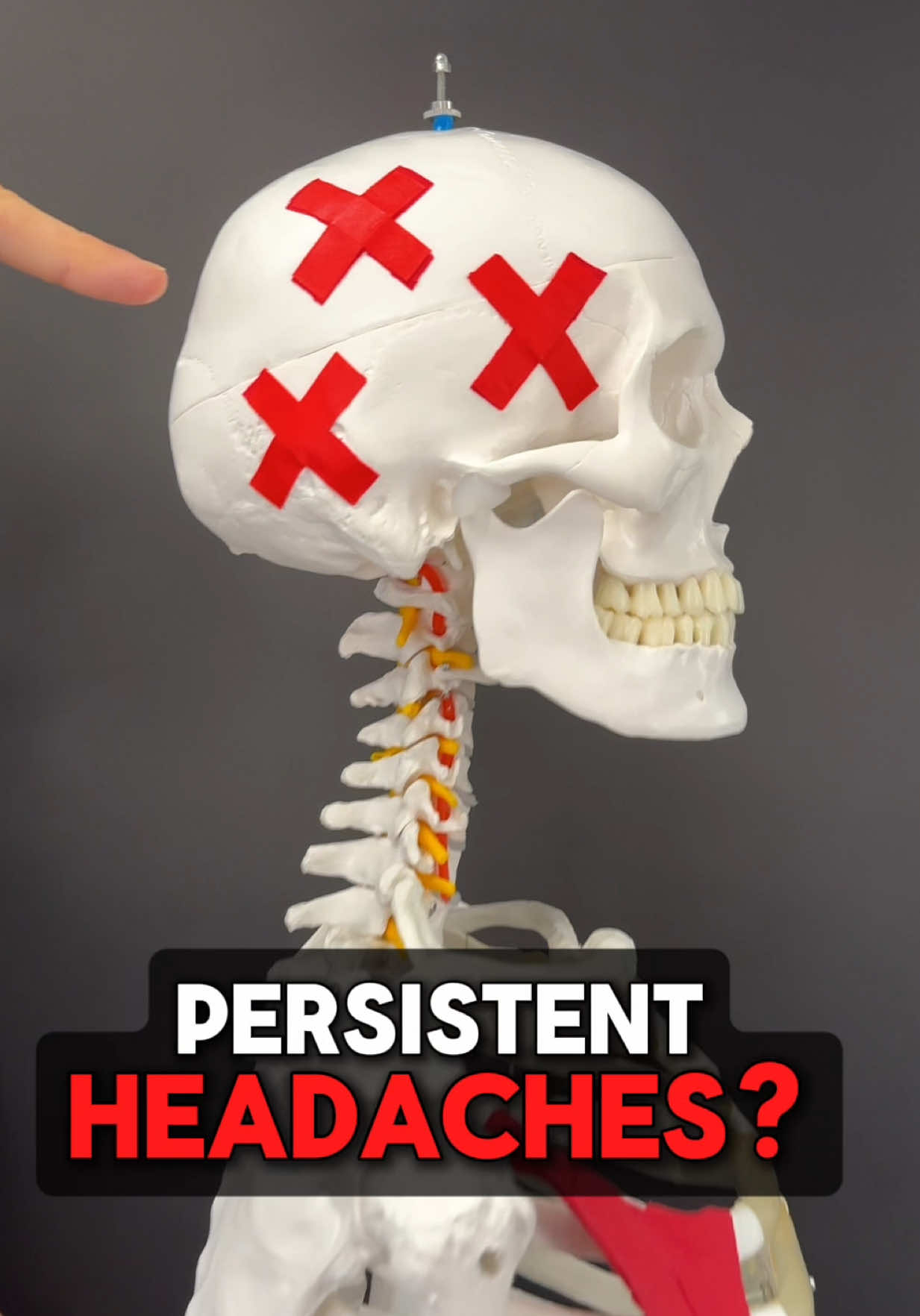 @Dr. Joe Damiani, DPT