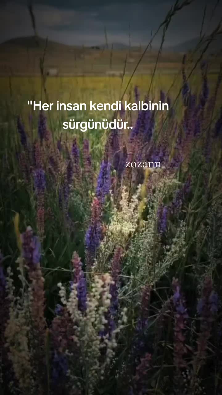 @ZOZAN