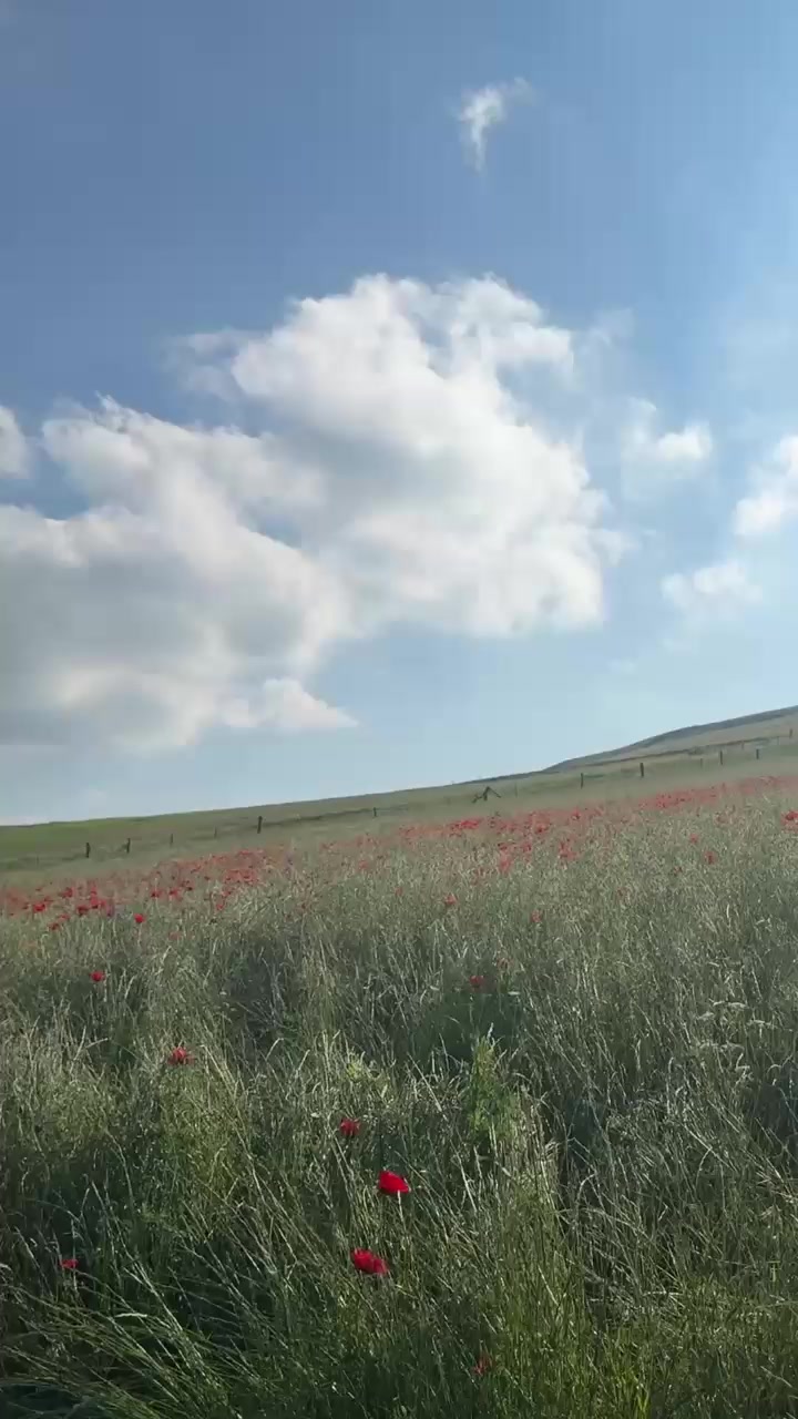 @Sənan