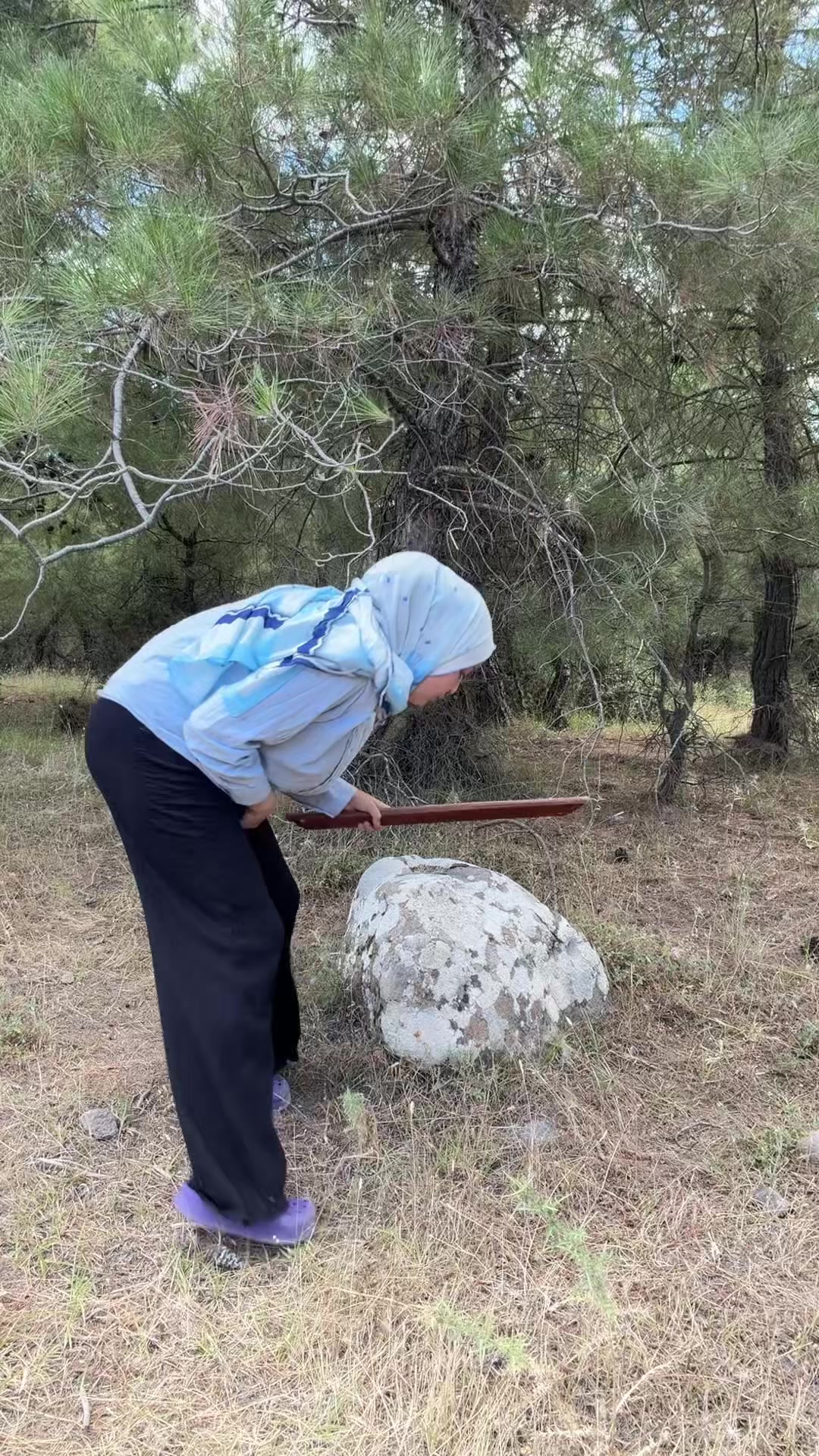 @Doğan Ailesi