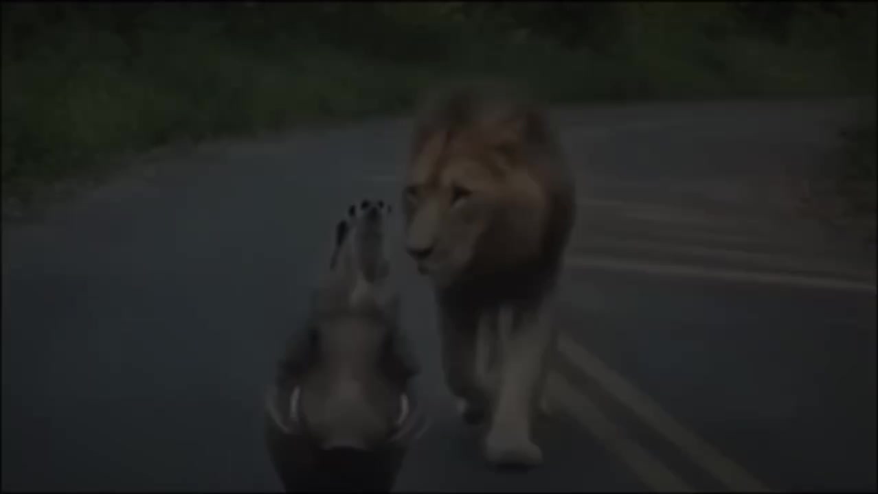 @<_>Pantera/🐆