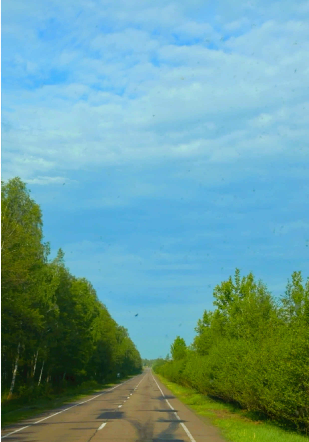 @Volodymyrivna