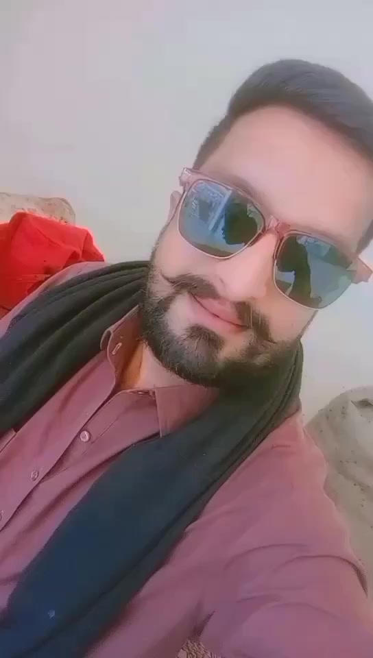 @راجہ شاہ رخ ایم ایس ایف