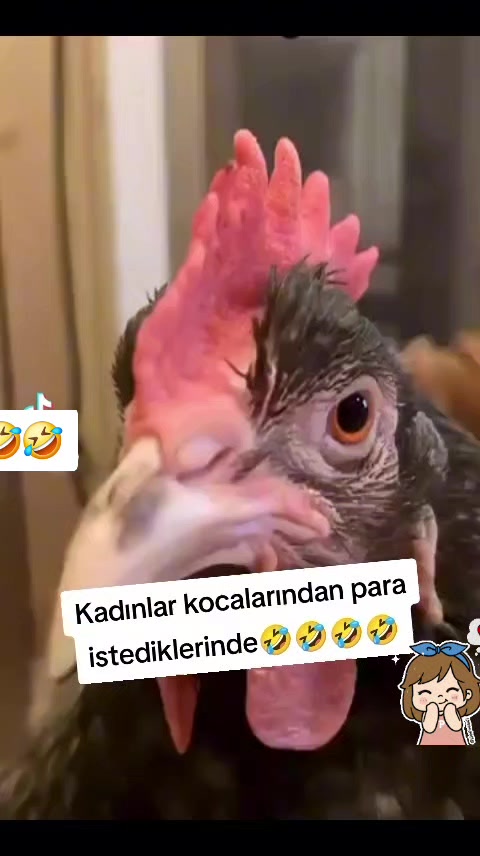 @KOPSUN KIYAMET