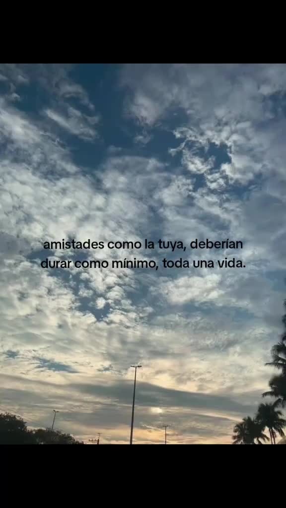 @CapyTacoo🧃