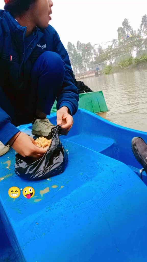 @dipnarayan