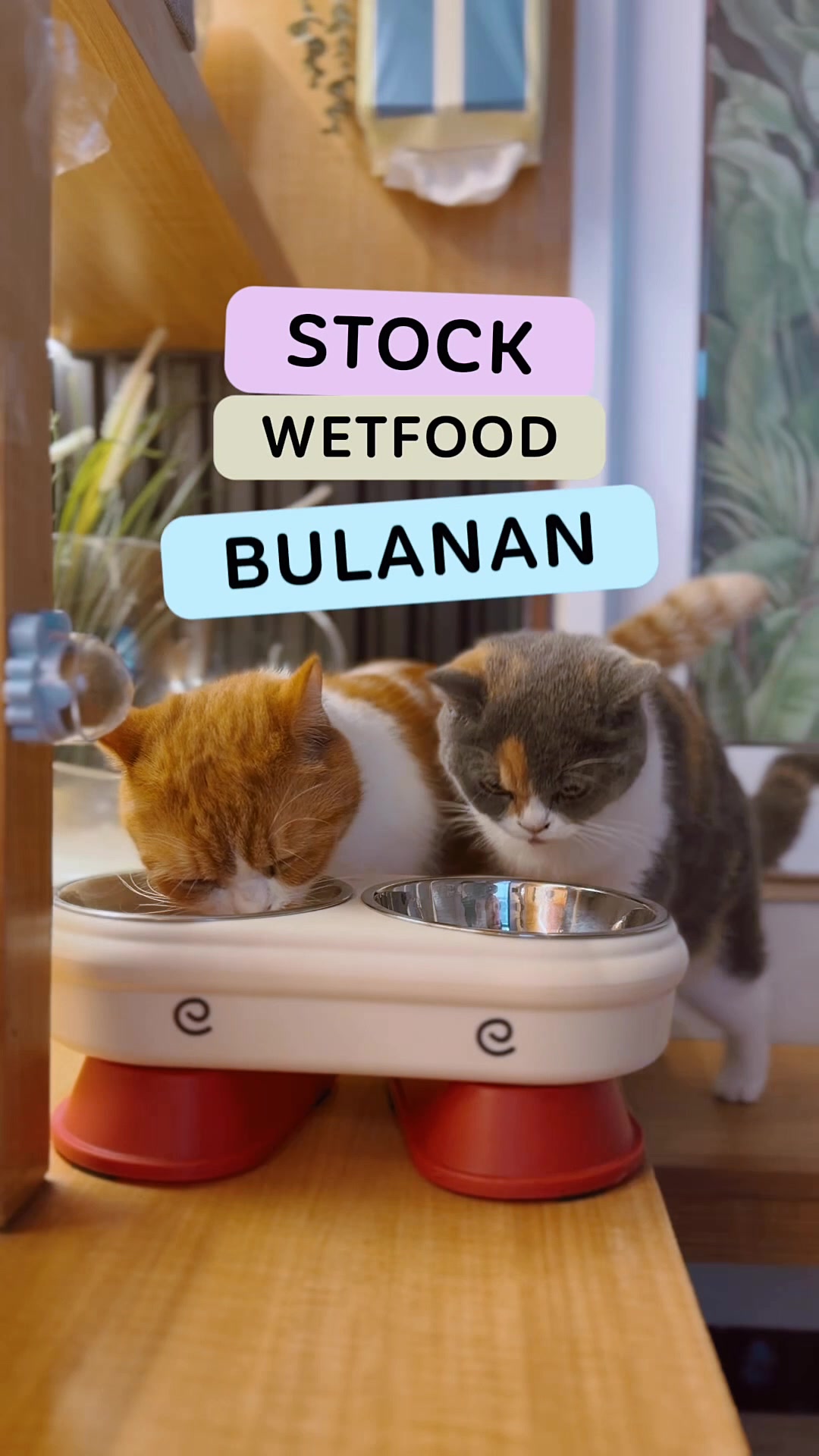 @MEOWOMPONG
