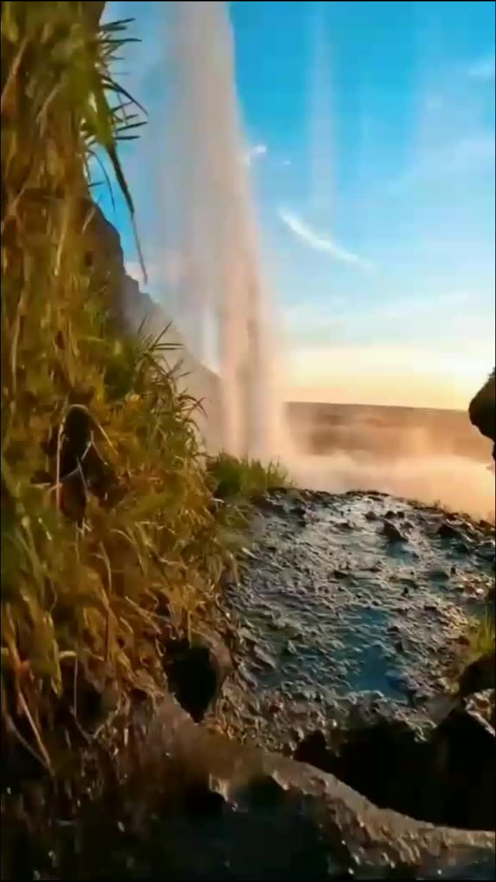 @boboho