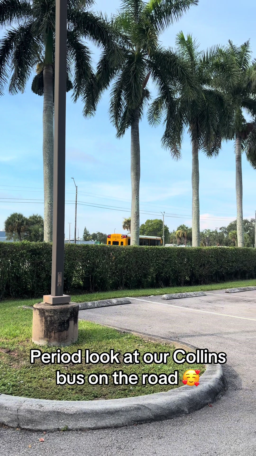 @palmbeachtransportation