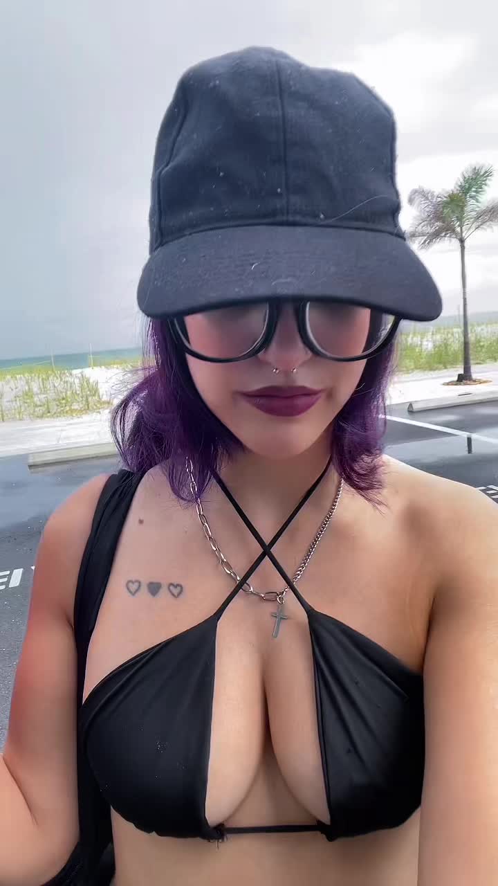 @zuri 𑣲⋆