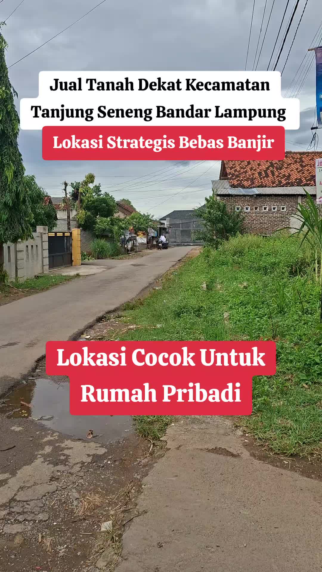 @Tanah pribadi Lampung