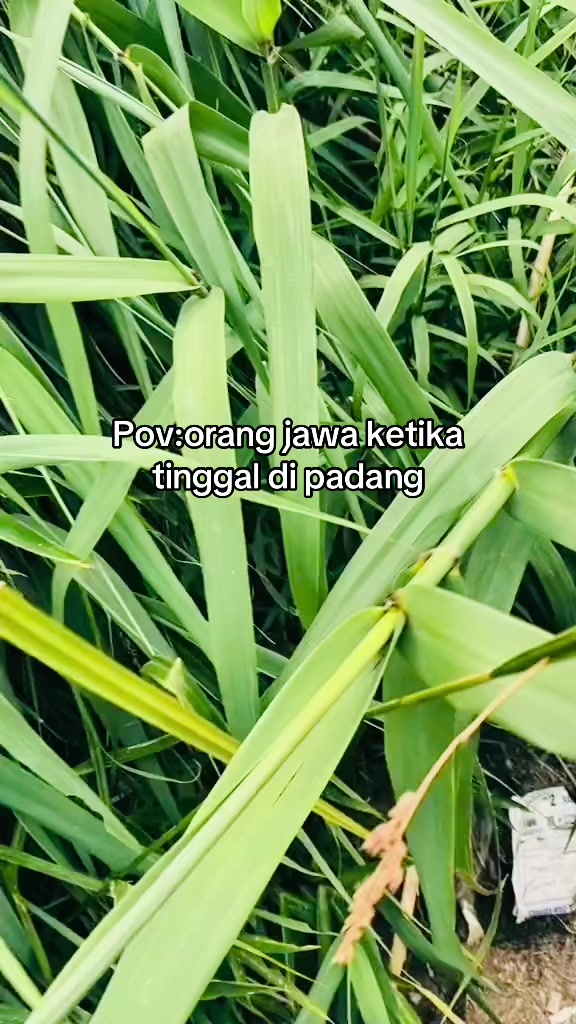 @R.z