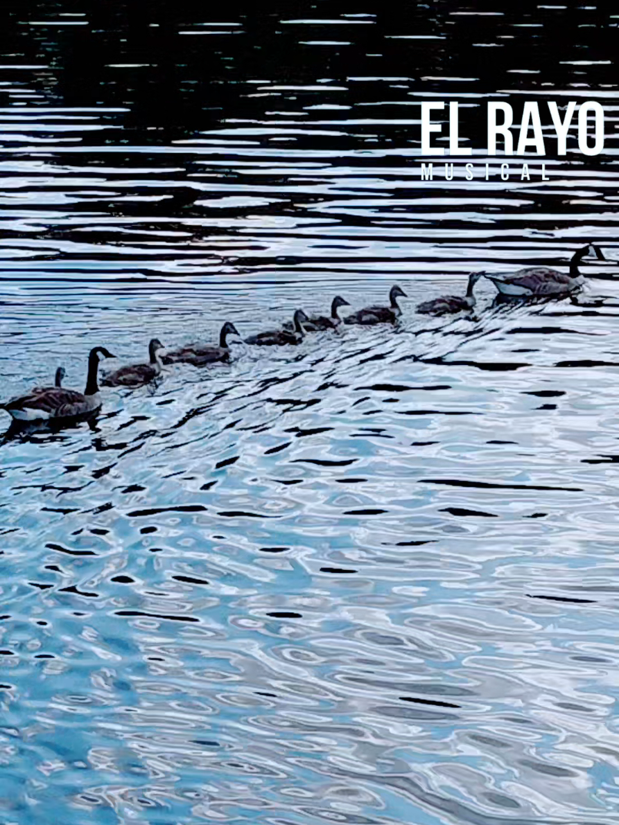 @El Rayo Musical