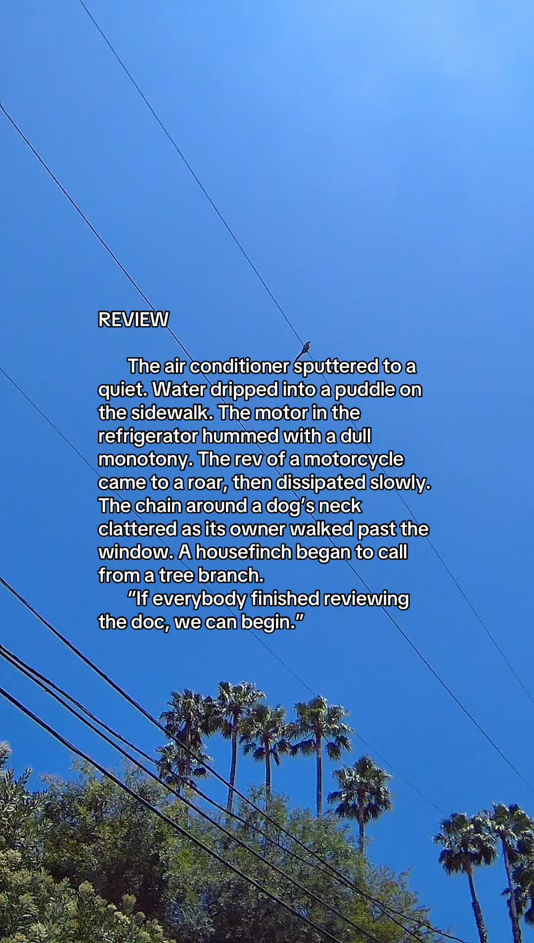 @surfnoircowboy